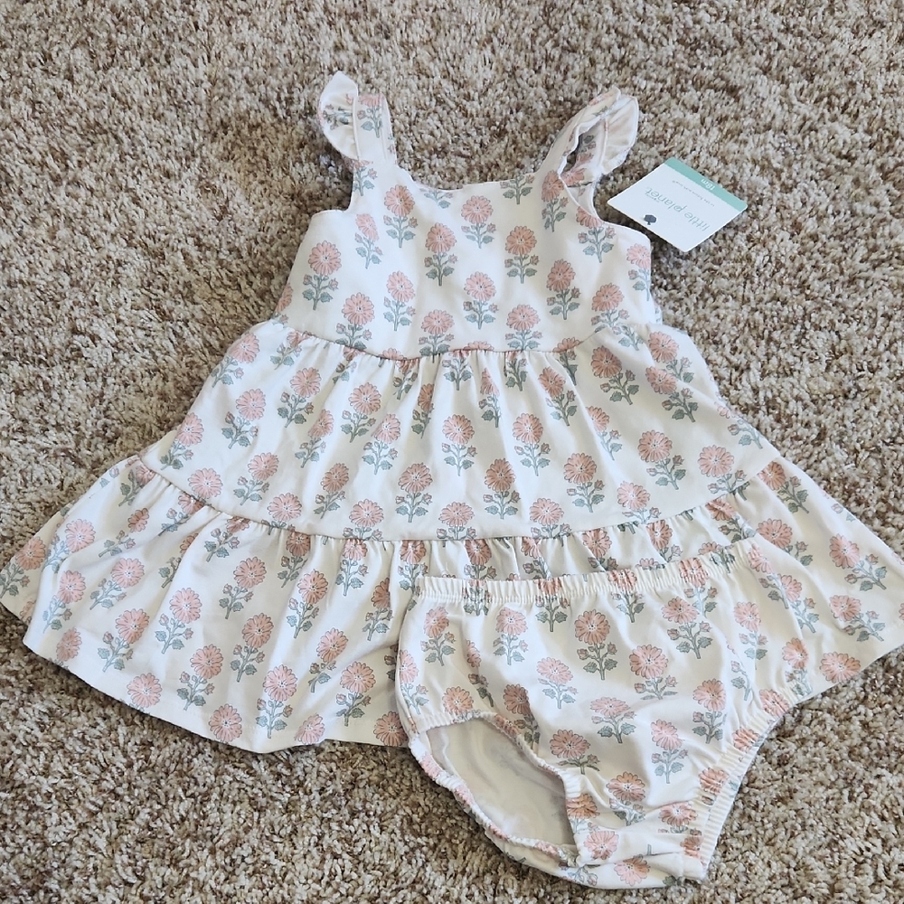 Tea Collection Baby Girls Floral Ruffle Dress with Bloomers - Pink